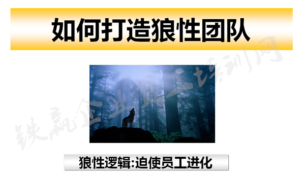 重庆管理(lǐ)咨询培训公司_副本.png